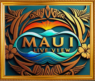 MauiLiveView