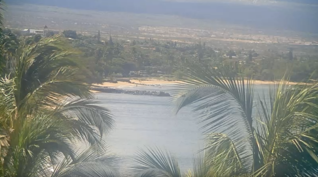 Sugar Beach Maui Cam: Your Ultimate Guide to Live Beach Views