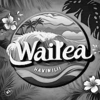 Wailea Beach Webcams